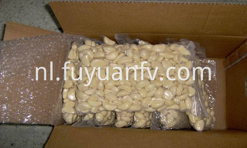 vacuum packed peeled fresh garlic 